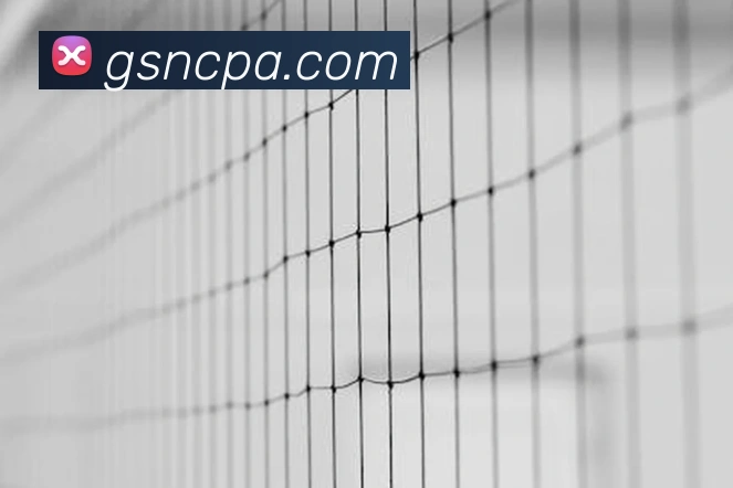 pa视讯APP 高清赛事图